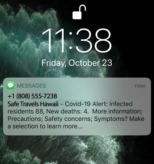 Safe Travels To Hawaii Mandatory rules & regulations